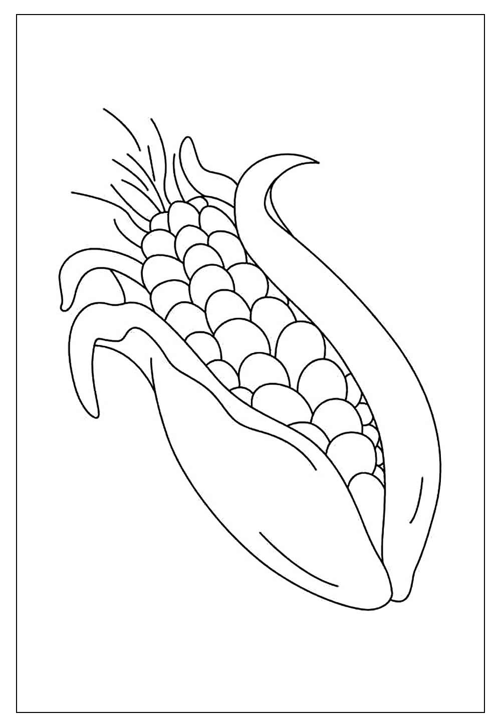 Desenhos De Milho Para Colorir E Imprimir Tudo Para Colorir