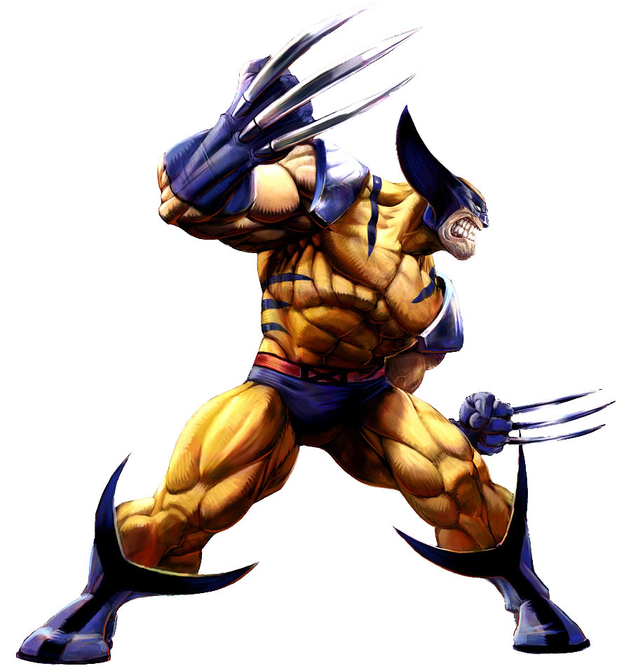 Modelo Colorido do Wolverine
