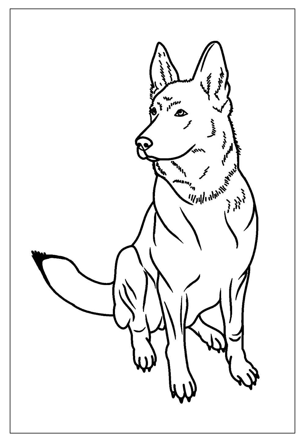 Foto de Cão para colorir  Desenho de cachorro, Desenhos para