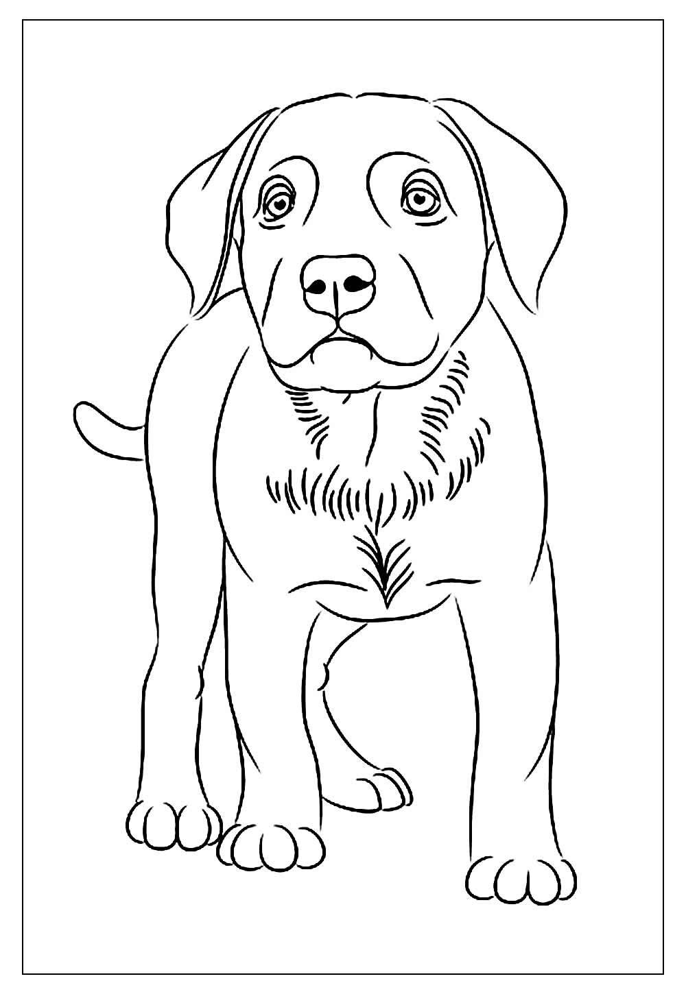 Desenho de Cachorro para colorir