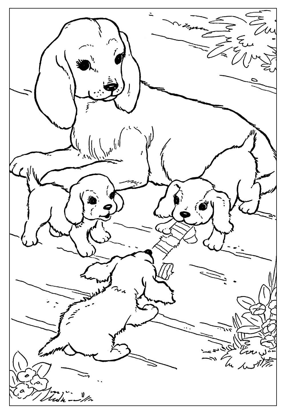 Desenho de Cachorros para colorir