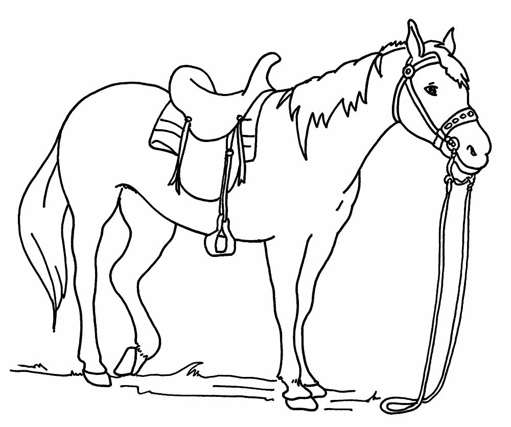 desenhos colorir pintar cavalos (4)  Cavalo desenho, Cavalos pintados,  Cavalos