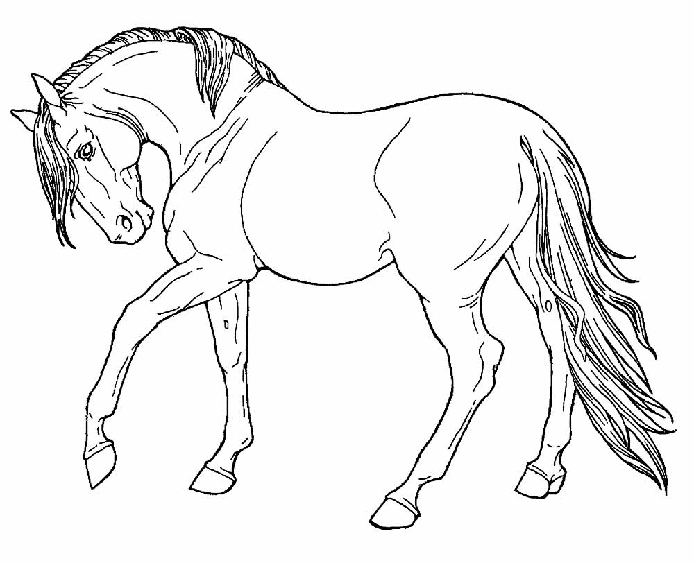 Desenhos de cavalo para colorir