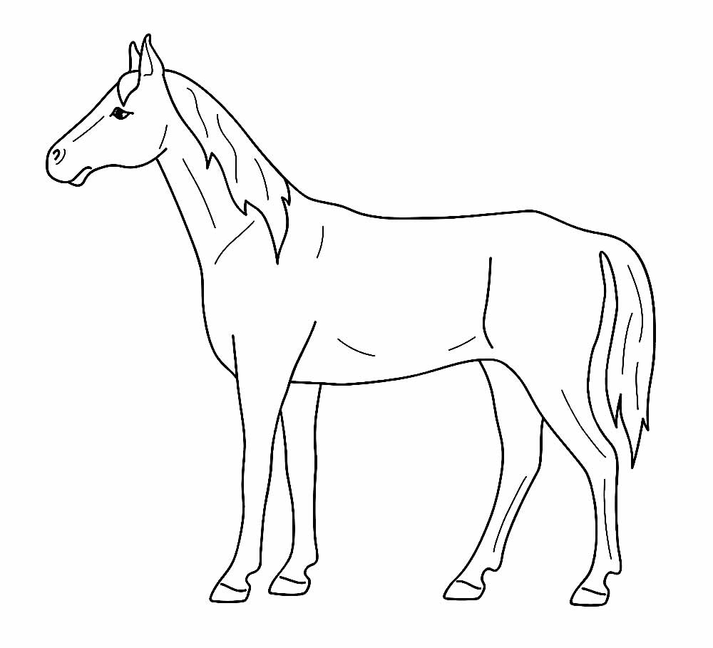 Desenho Cavalo Colorir