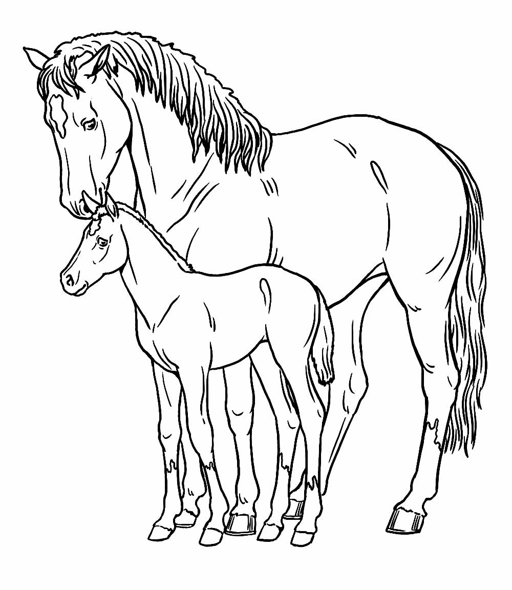 Desenho Cavalos Colorir e Pintar