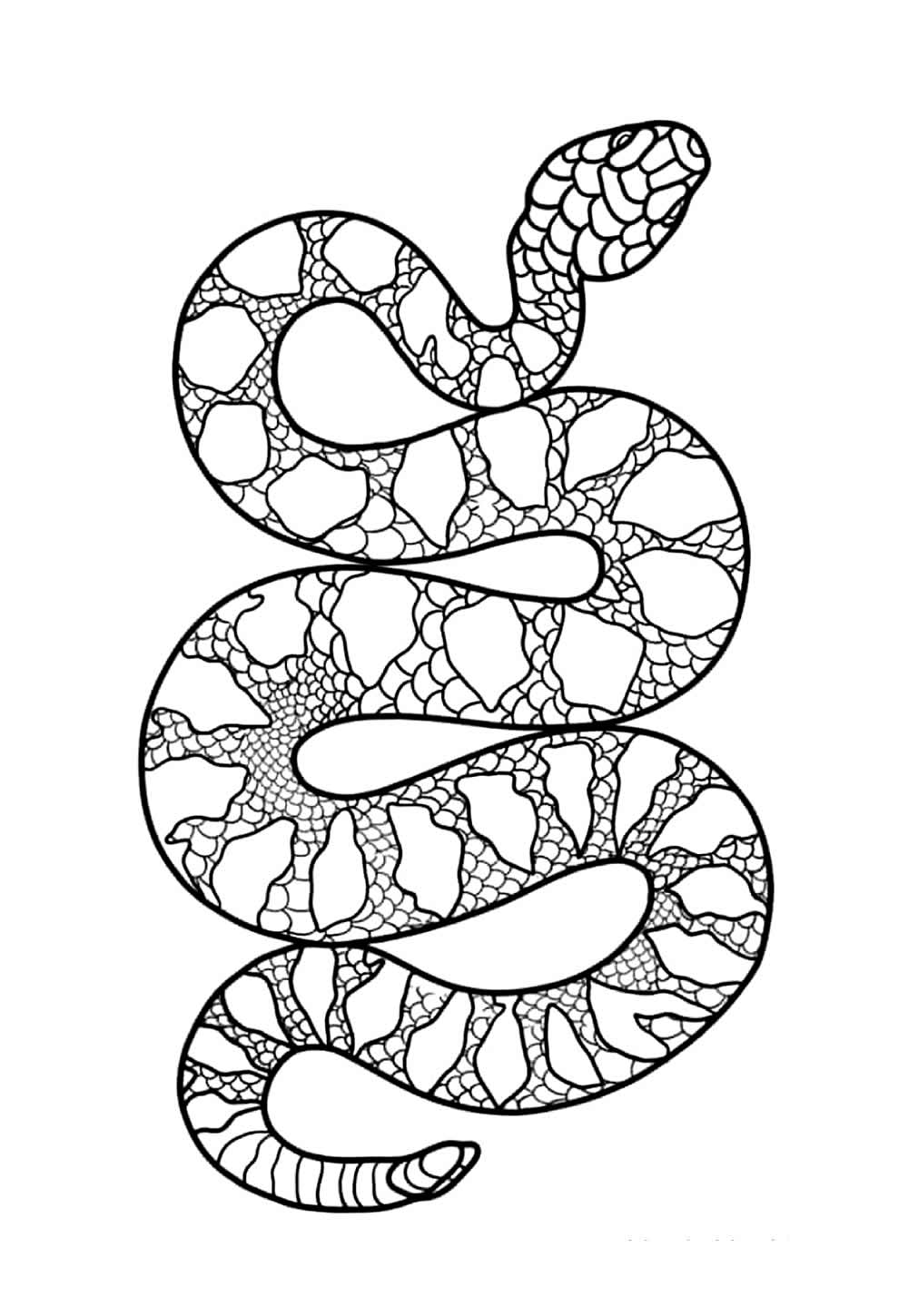 Desenho de Cobra para colorir