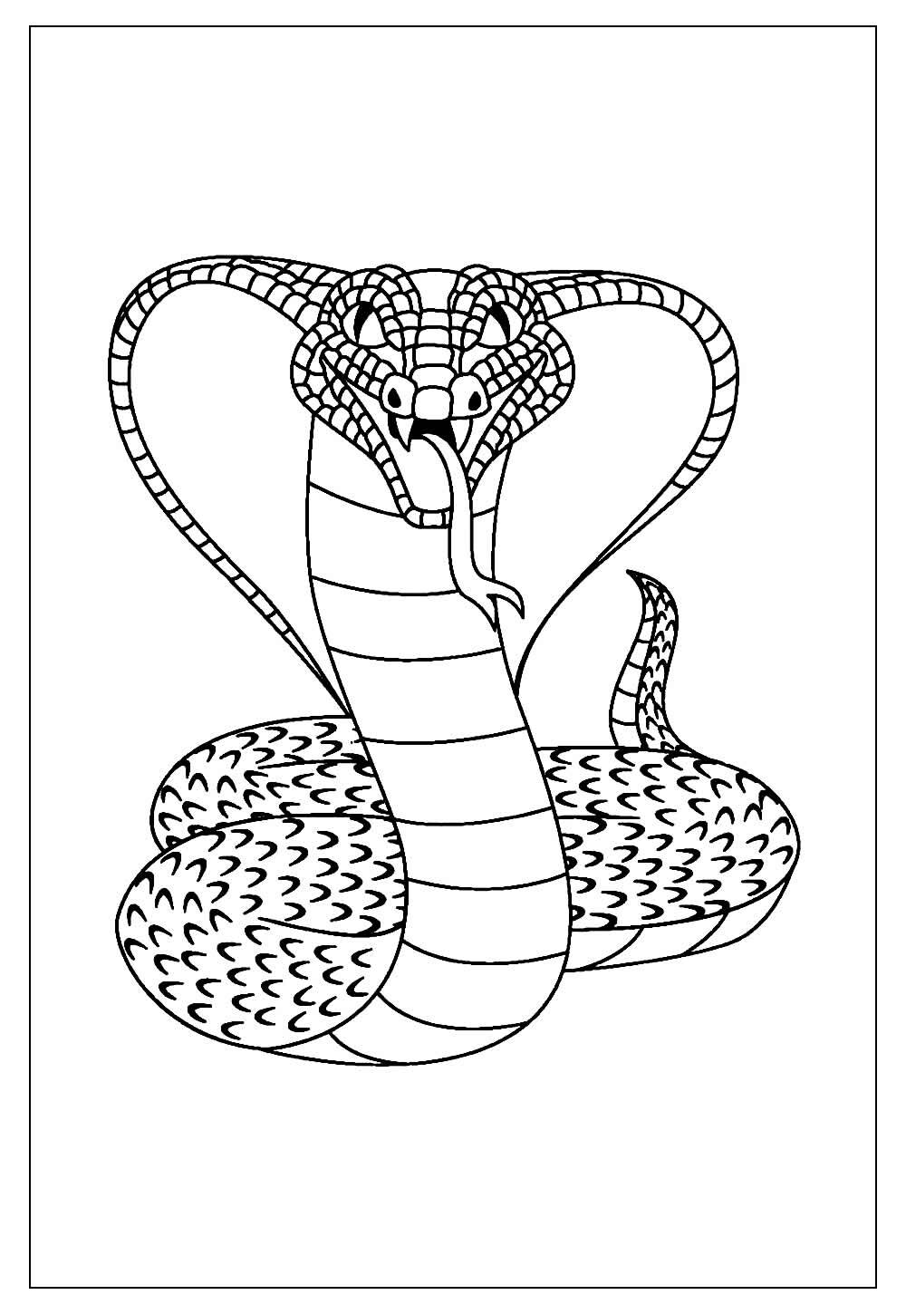 Desenho de Cobra para colorir – Imagem e Molde e para imprimir