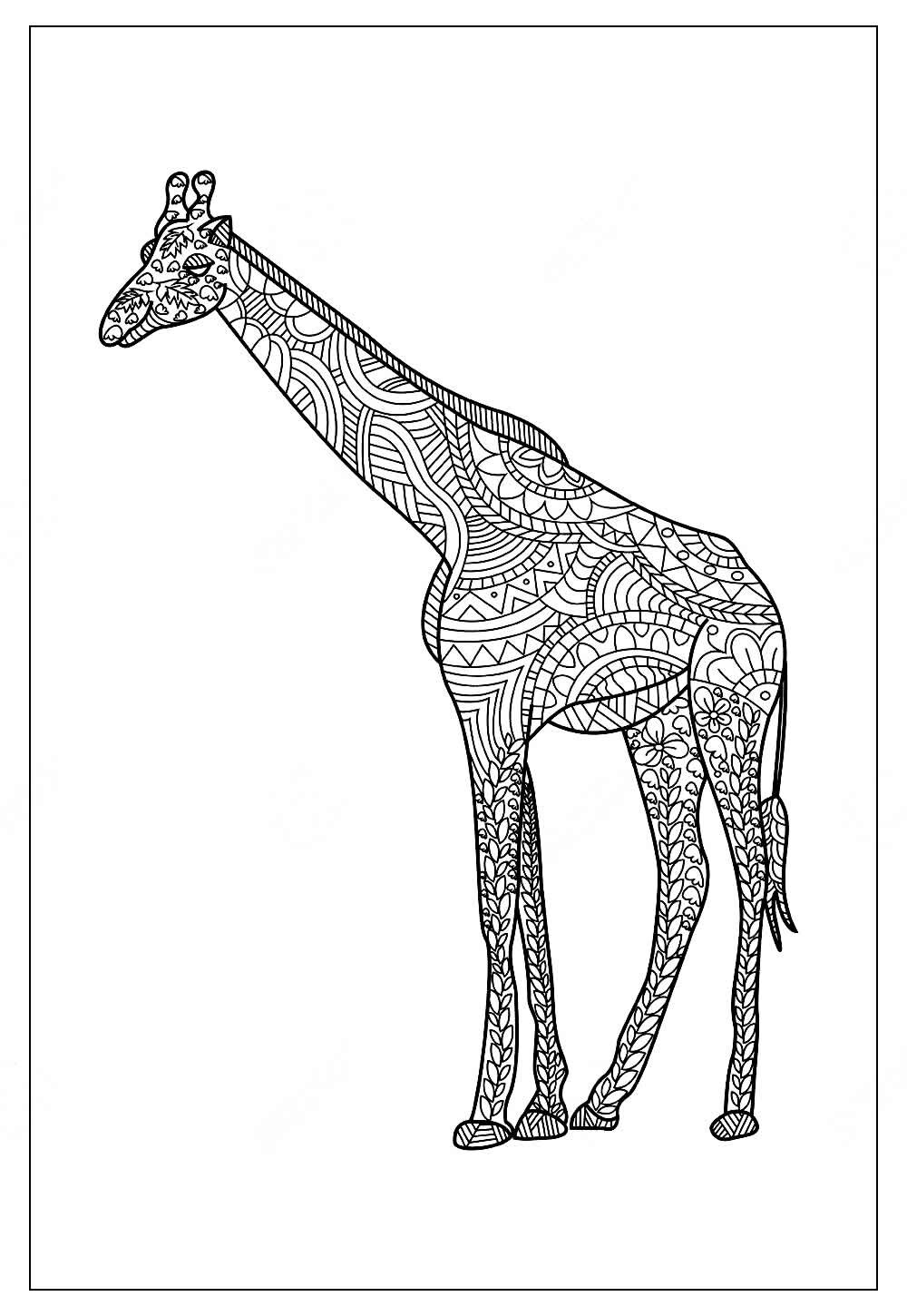 Desenho de Girafa para pintar