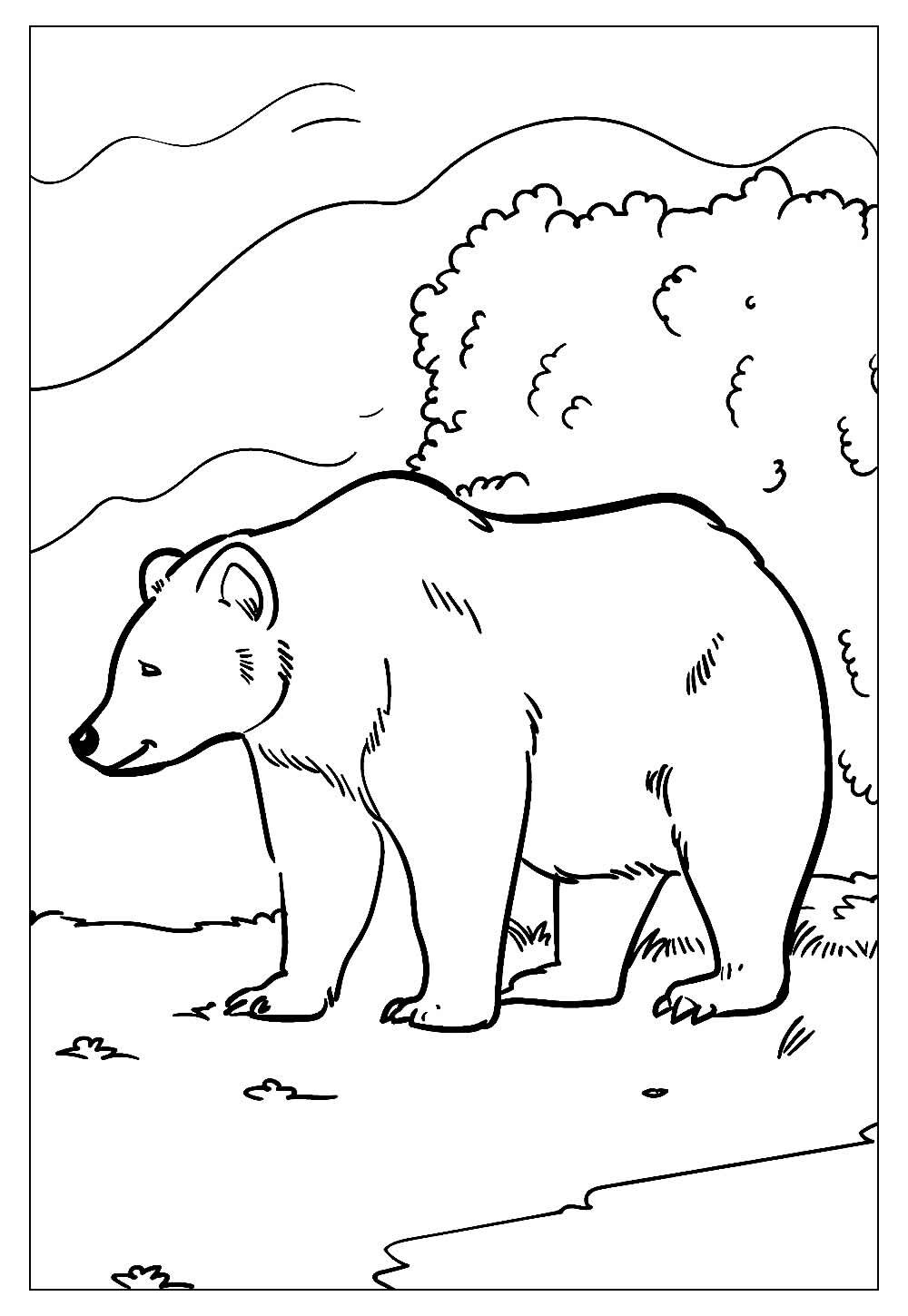 Desenhos de Urso