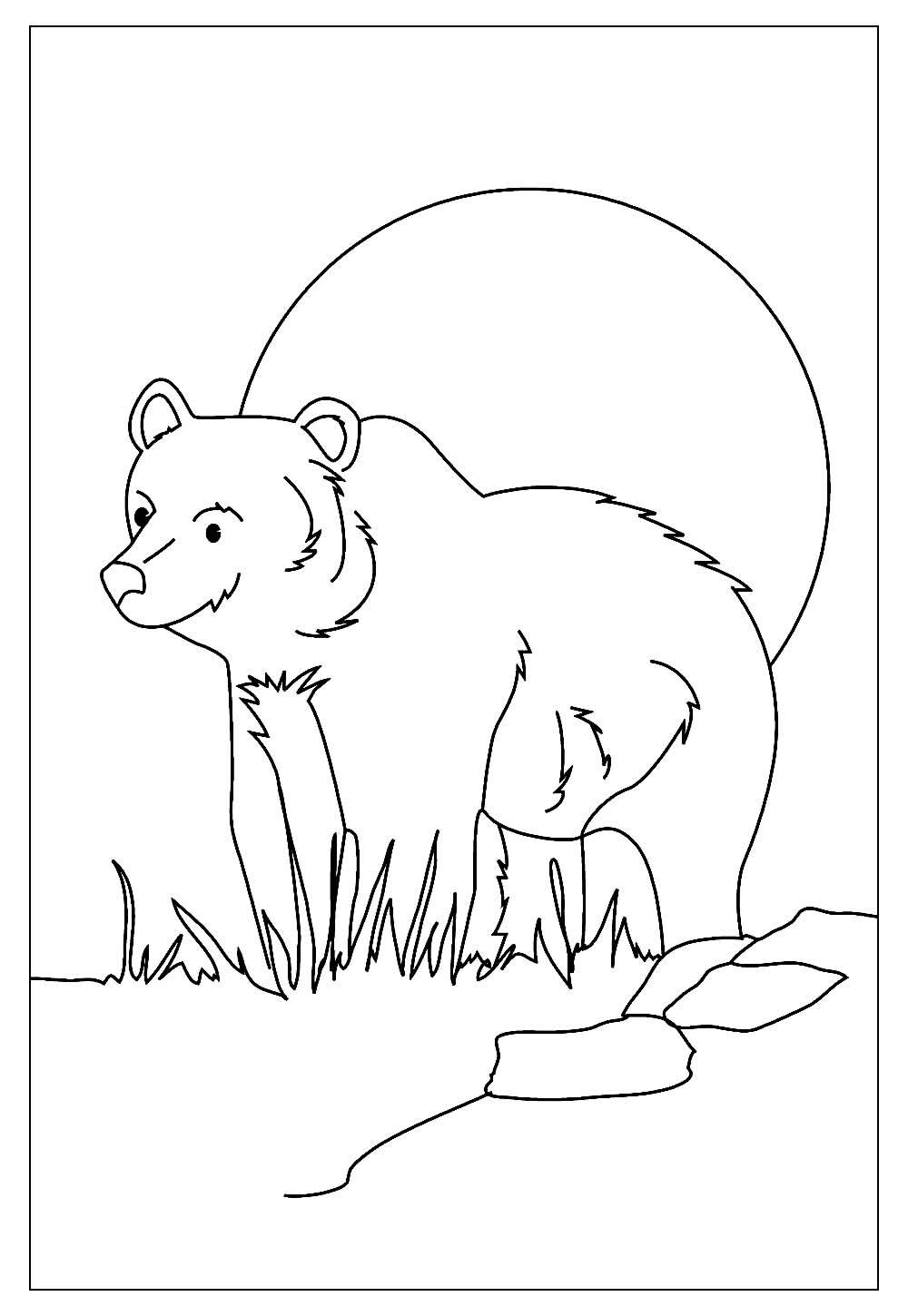 Imagem urso desenho colorir