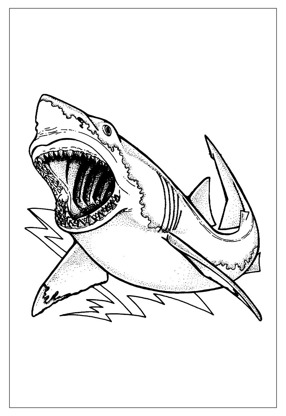 Desenhos de Tubarão para Colorir e Pintar - Tudo Para Colorir