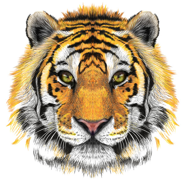Desenho de Tigre Minion pintado e colorido por Usuário não registrado o dia  28 de Julho do 2023
