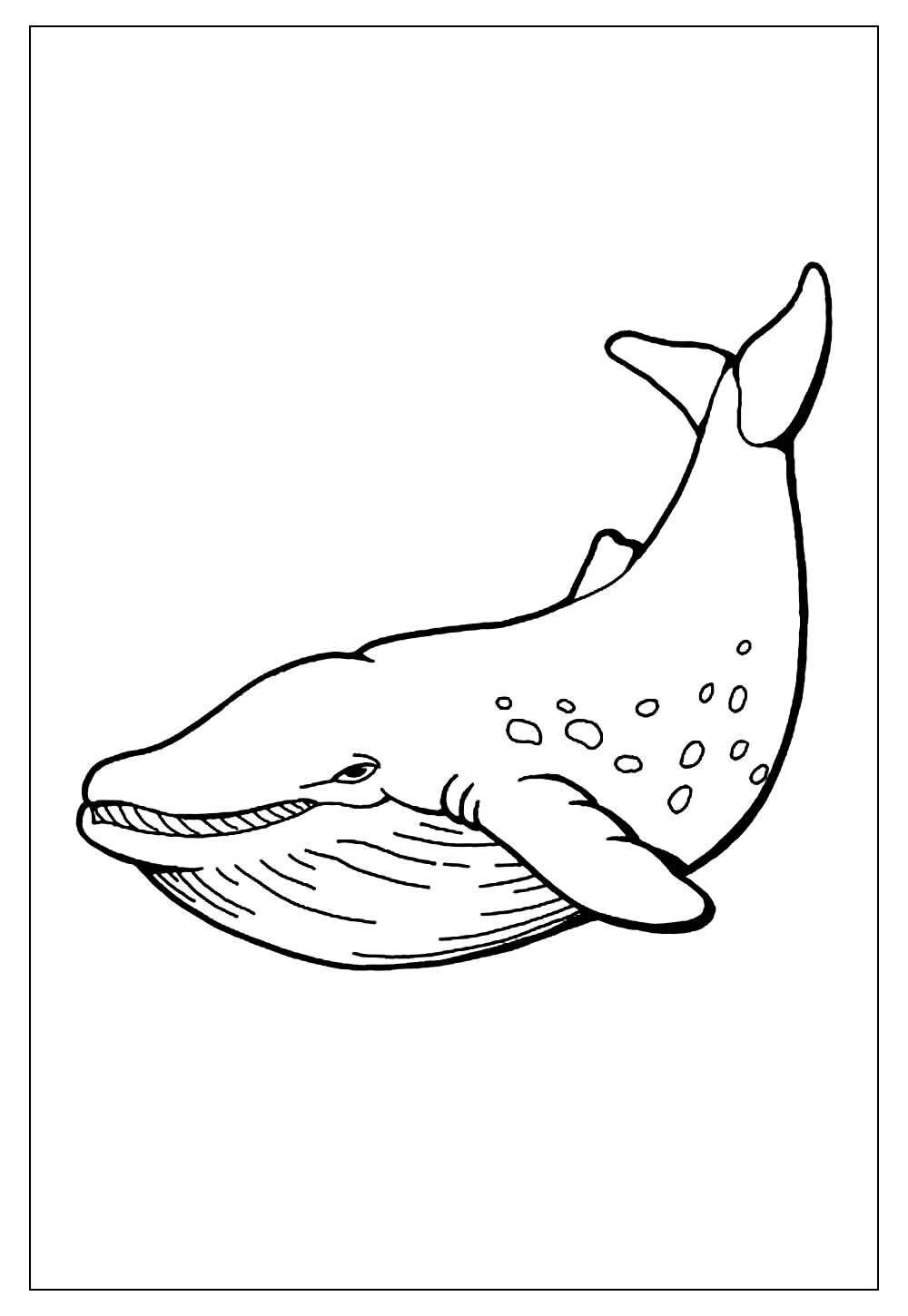 Desenho de Baleia para colorir