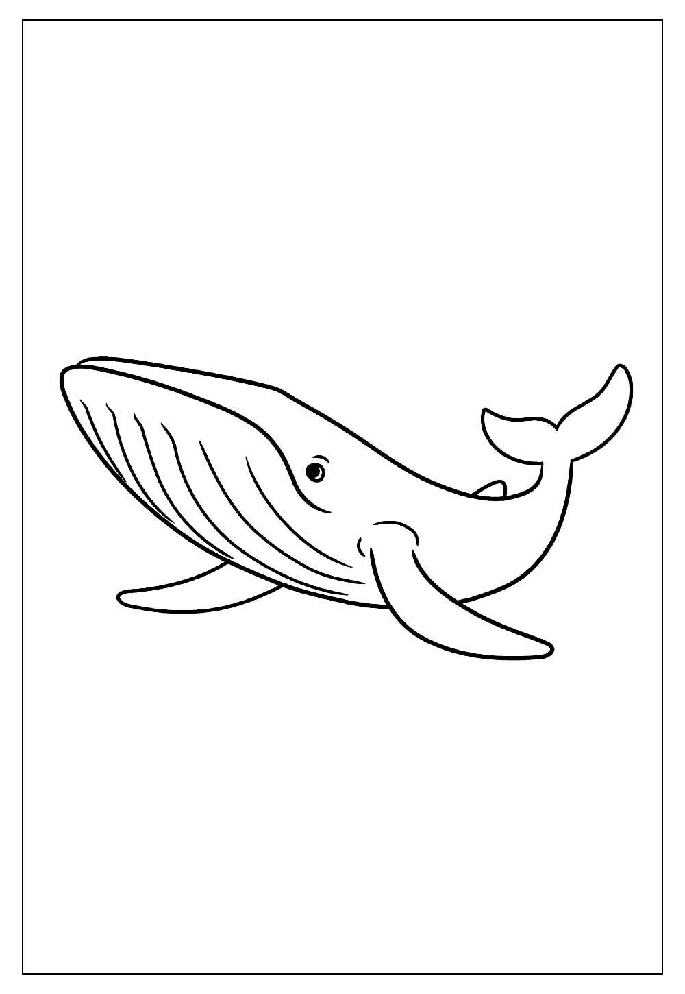 Desenho Baleia Colorir