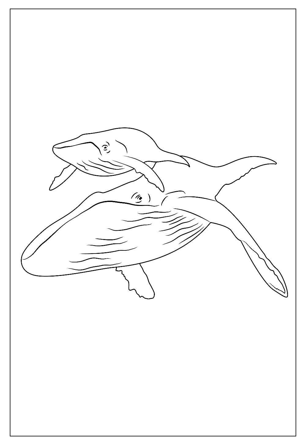 Desenho de Baleias para colorir