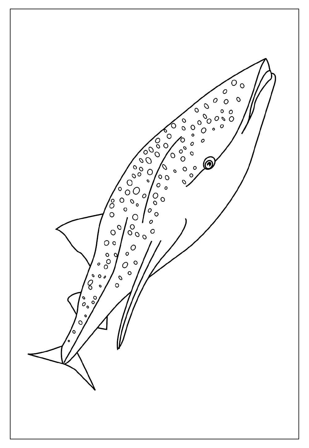 Desenho para colorir de Baleia