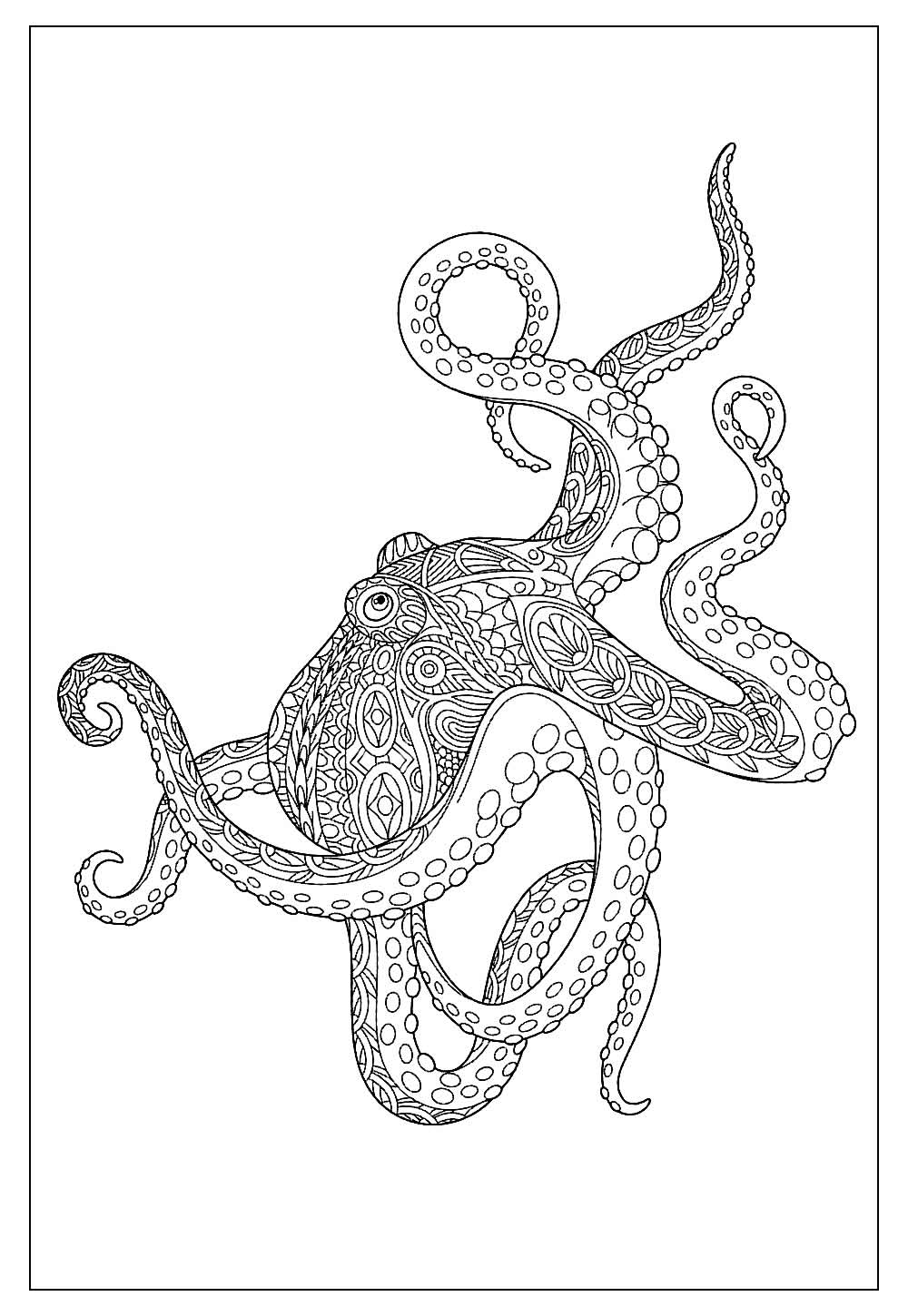 Desenhos de Polvo para Colorir e Imprimir - Tudo Para Colorir