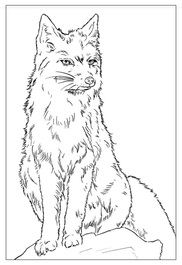 Desenhos De Raposa Para Colorir E Imprimir Tudo Para Colorir desenhos-de-raposa-para-colorir-e-imprimir-tudo-para-colorir