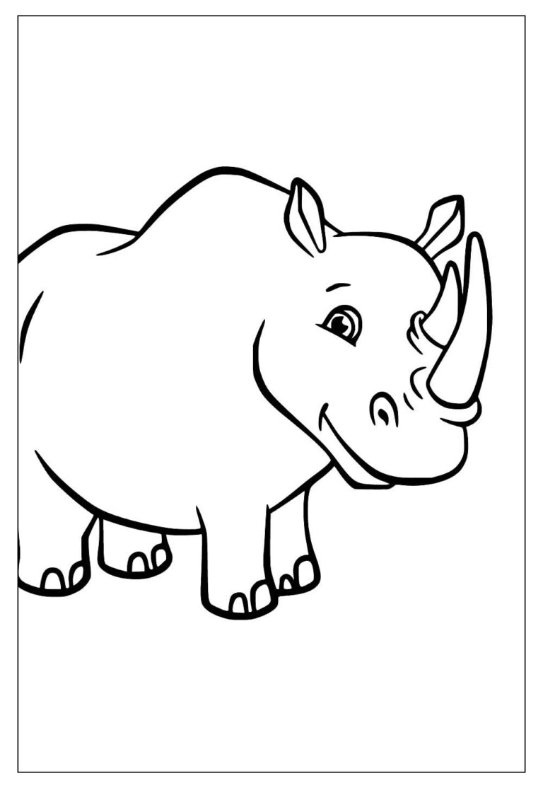 Desenhos de Rinoceronte para Colorir e Imprimir