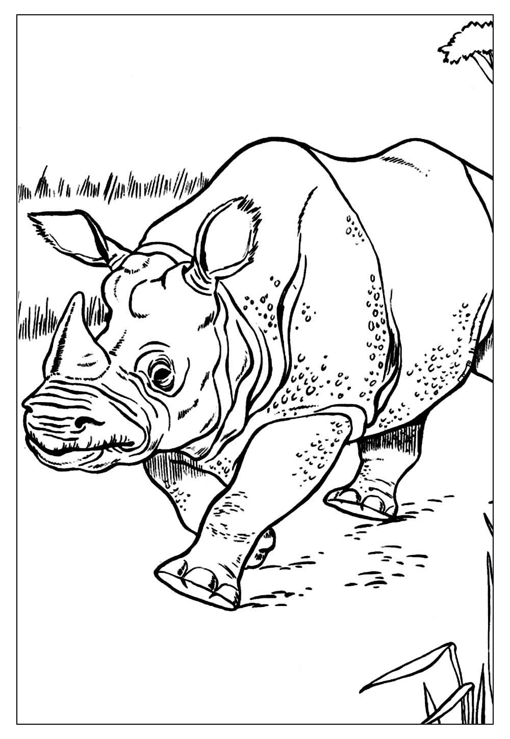 Desenho de Rinoceronte para colorir