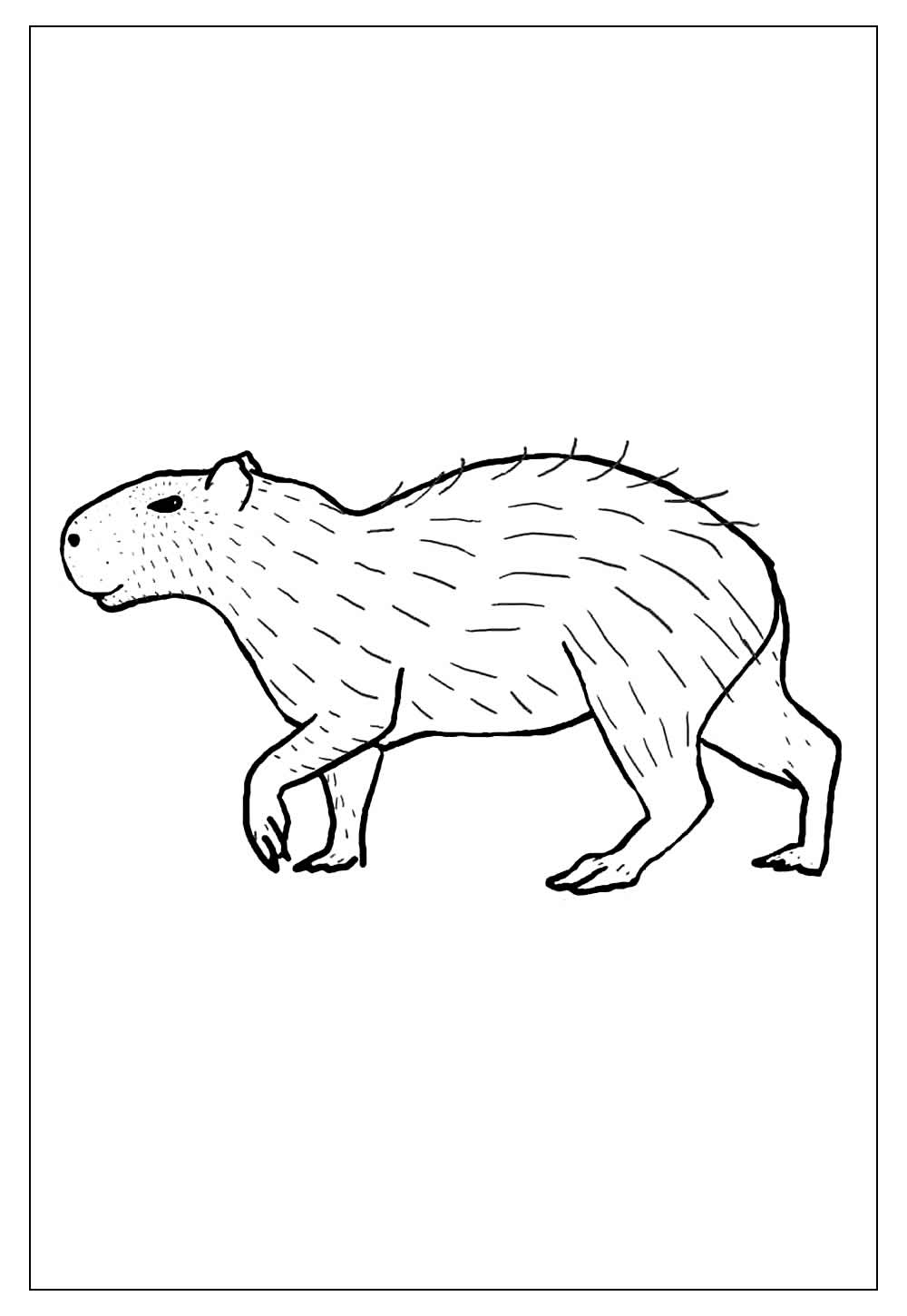 Desenhos de Capivara para Colorir e Imprimir - Tudo Para Colorir