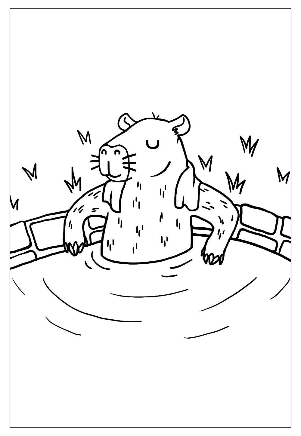 Desenho de Capivara da América do Sul para colorir