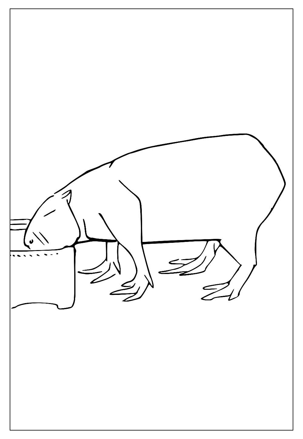 Desenhos de Capivara para Colorir e Imprimir - Tudo Para Colorir