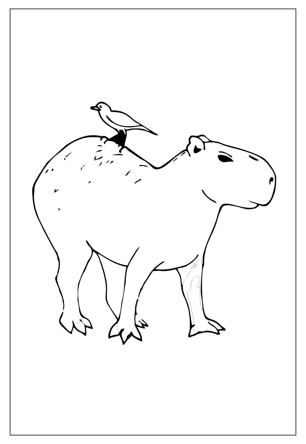 Desenho de Capivara, o maior roedor do mundo para colorir