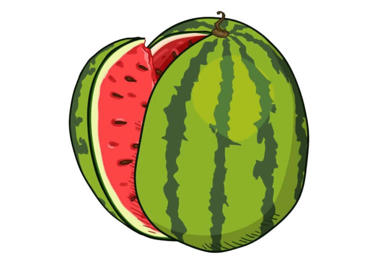 Desenhos de Melancia para Colorir e Imprimir - Tudo Para Colorir