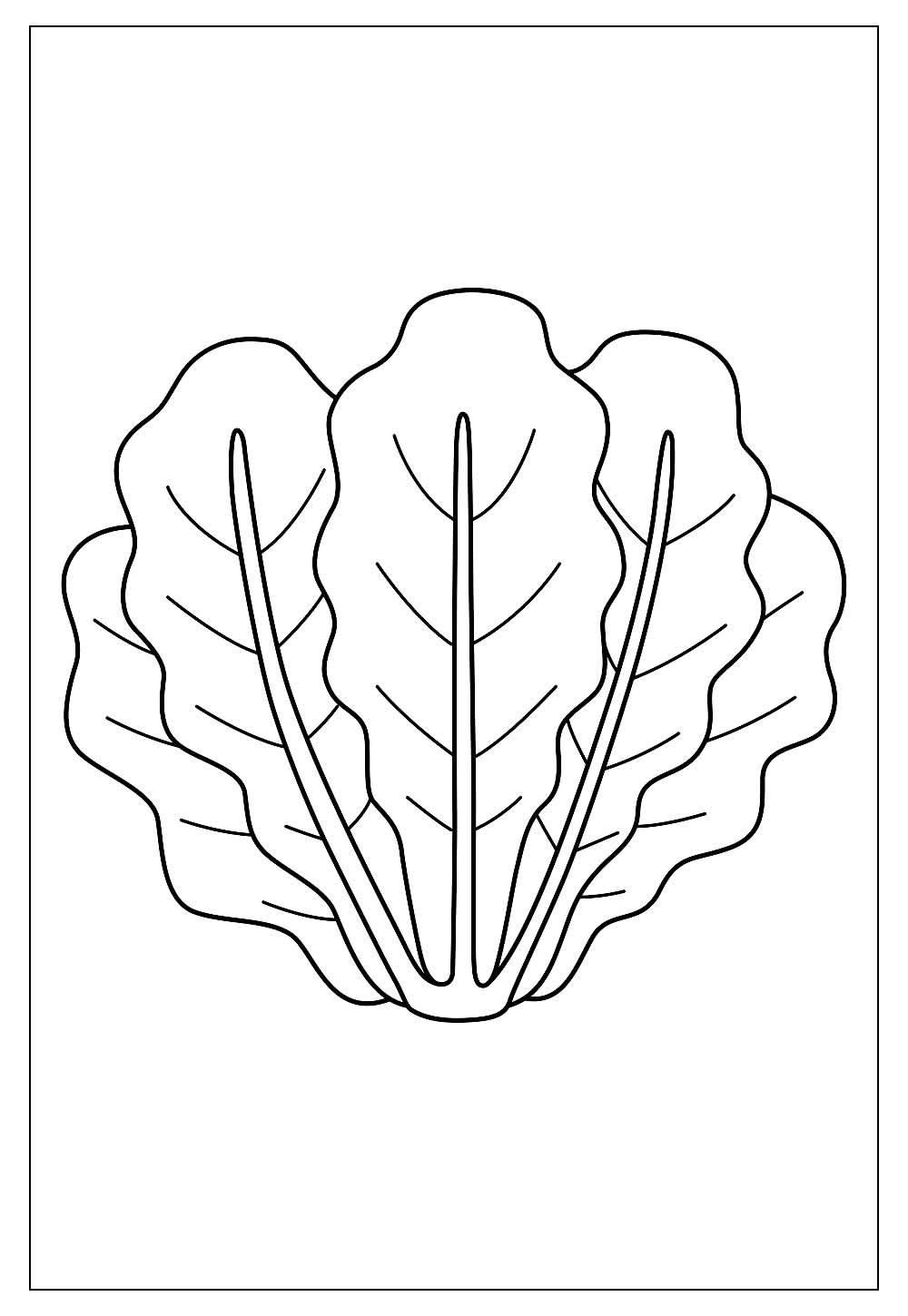 Desenhos De Alface Para Colorir E Imprimir Tudo Para Colorir