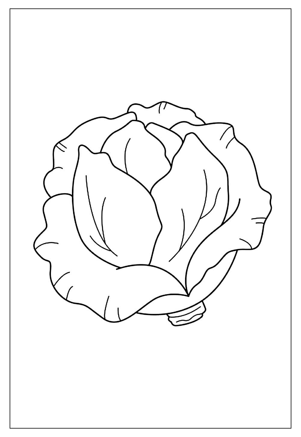 Desenhos de Alface para Colorir e Imprimir - Tudo Para Colorir