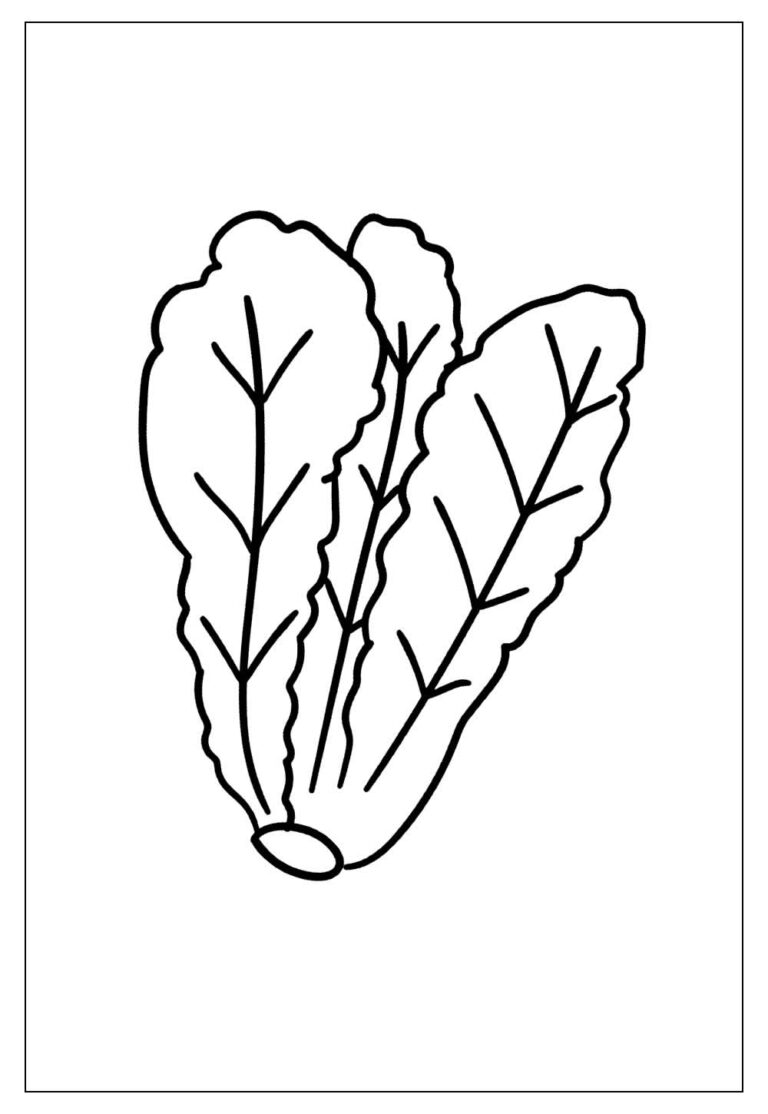 Desenhos de Alface para Colorir e Imprimir - Tudo Para Colorir