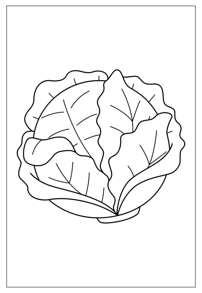 Desenhos de Alface para Colorir e Imprimir - Tudo Para Colorir