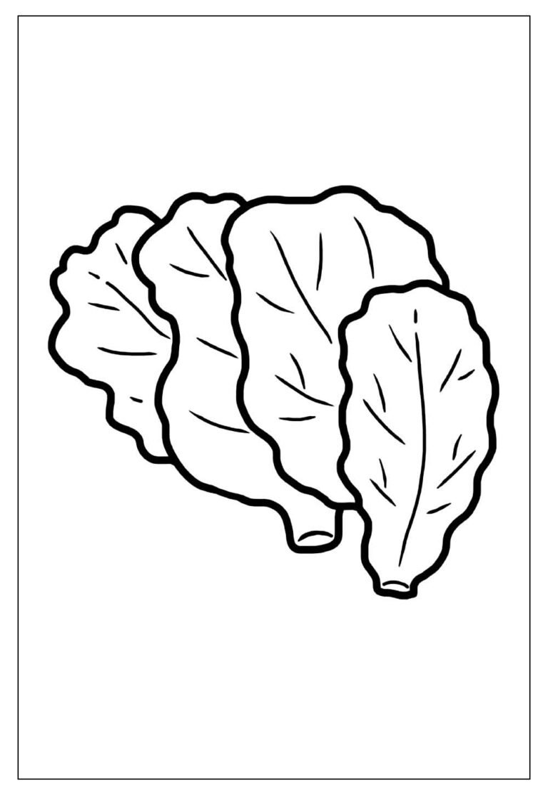 Desenhos De Alface Para Colorir E Imprimir Tudo Para Colorir desenhos-de-alface-para-colorir-e-imprimir-tudo-para-colorir