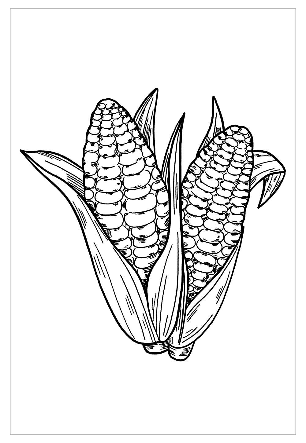 Desenhos de Milho para Colorir e Imprimir - Tudo Para Colorir