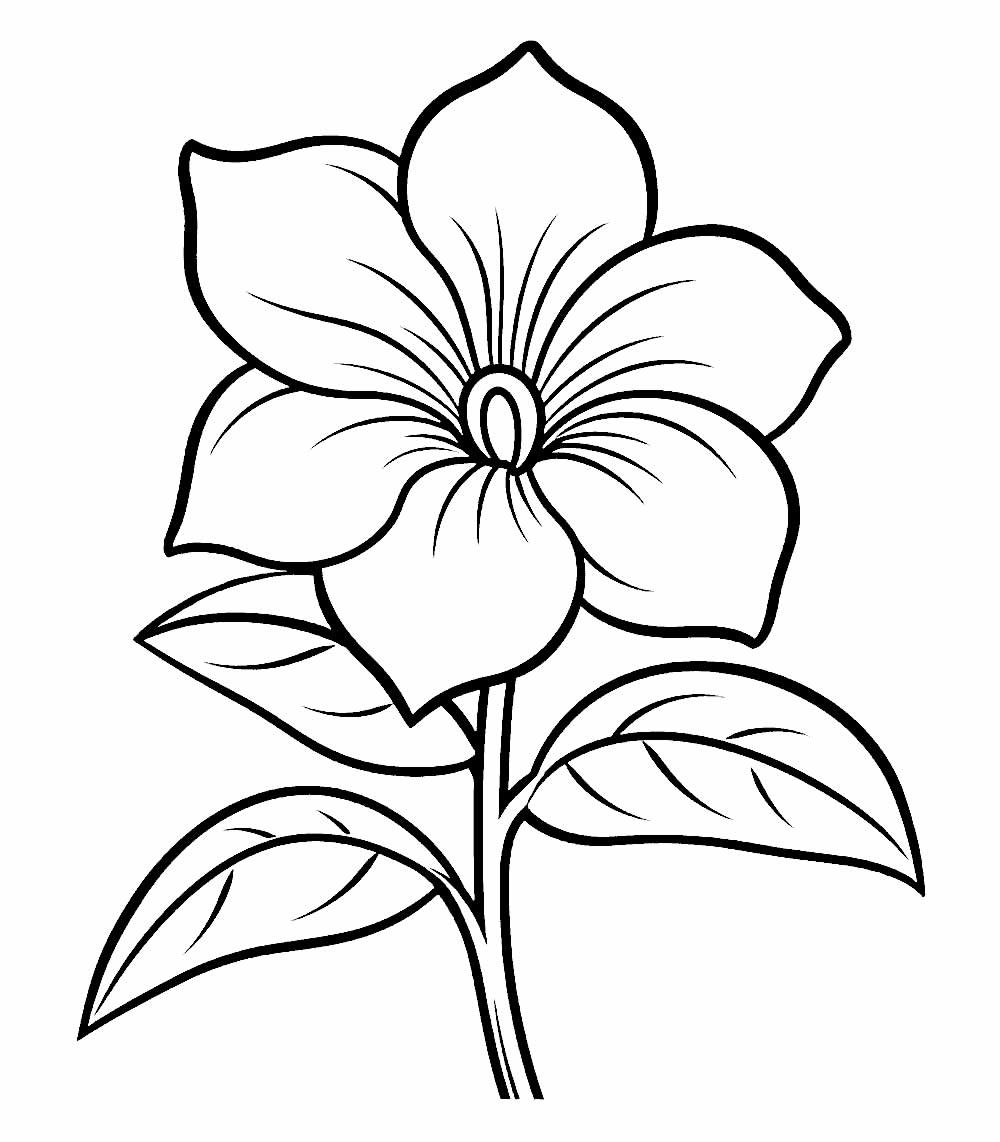 Desenhos F ceis De Flores FDPLEARN