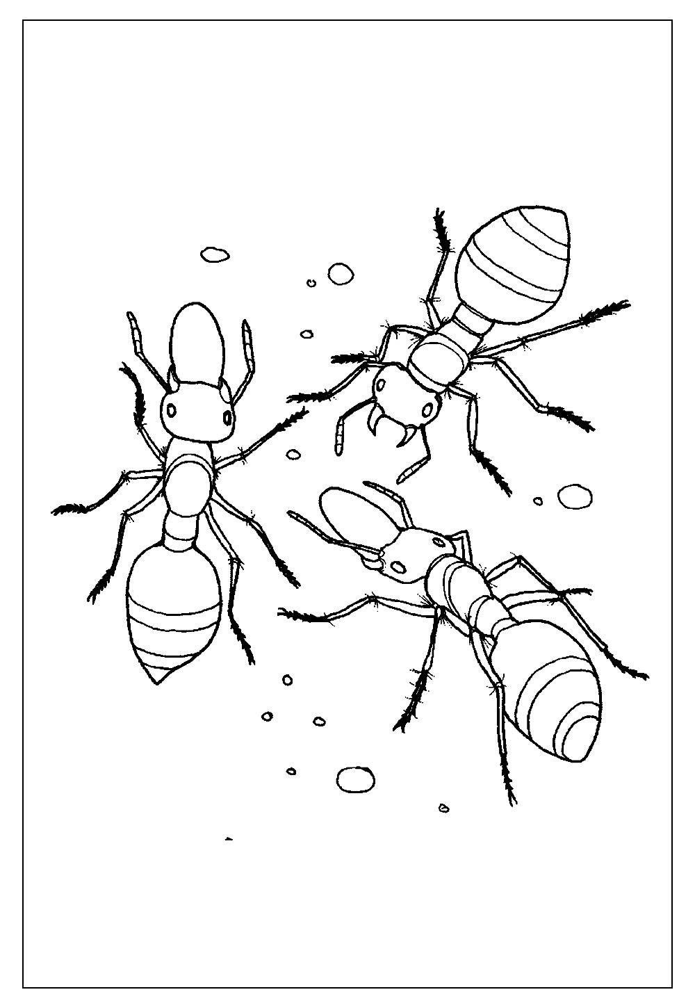 Desenhos de Formiga para Colorir e Pintar - Tudo Para Colorir