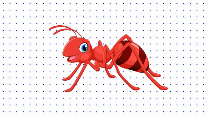Desenhos de Formiga para Colorir