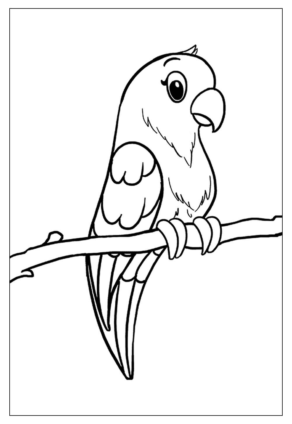 Desenho de Papagaio