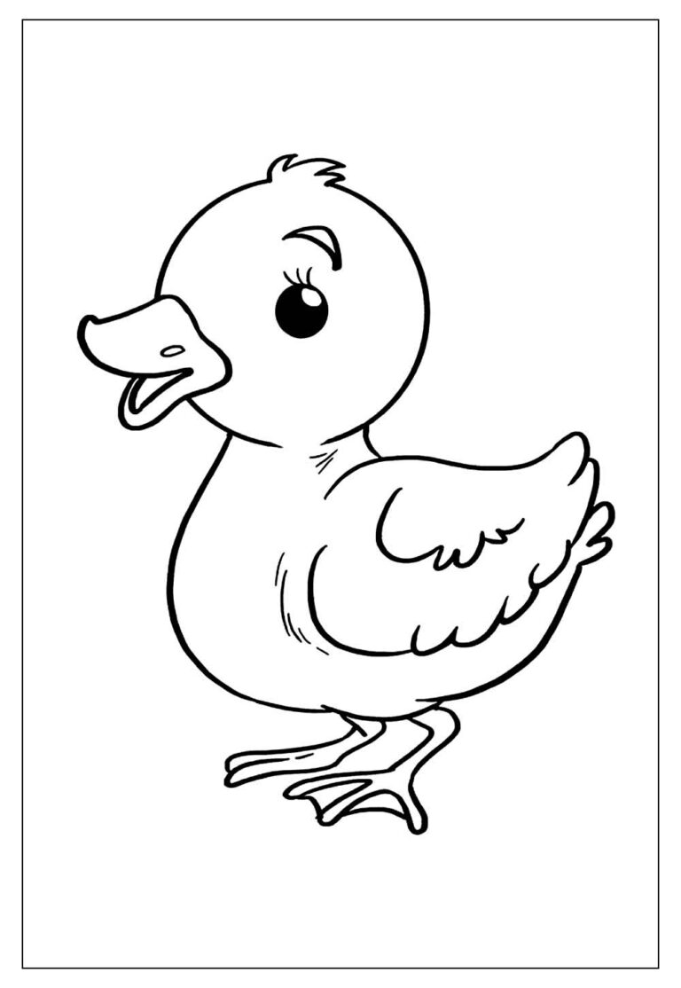Desenhos de Pato para Colorir e Pintar - Tudo Para Colorir