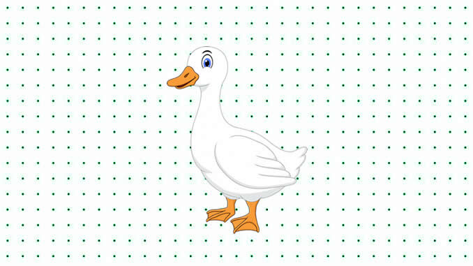 Desenhos de Patos para Colorir