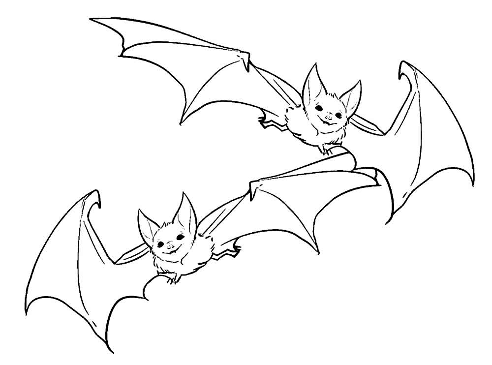 Desenho de Morcegos para colorir