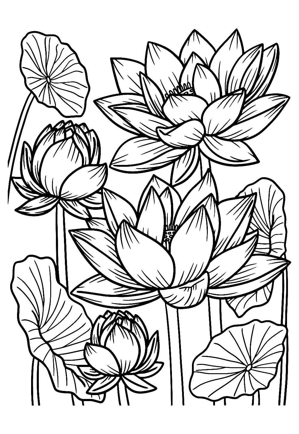 Desenho da Flor de Lótus para colorir