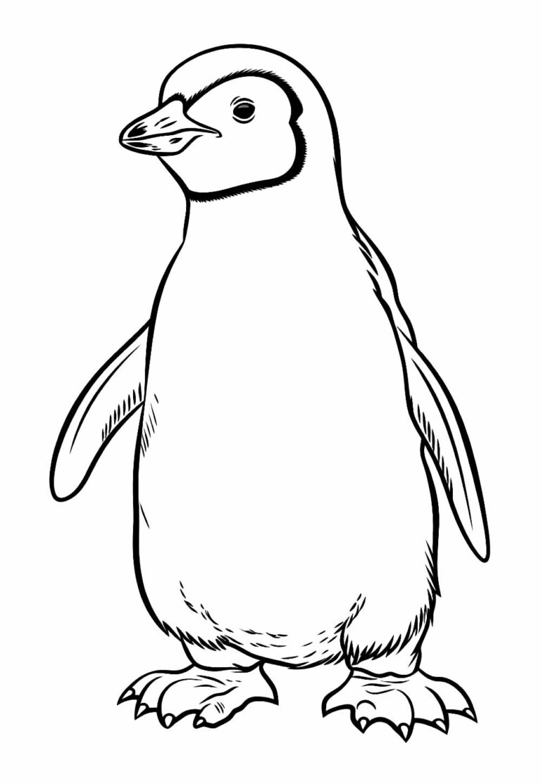 Desenhos de Pinguins para Colorir e Pintar - Tudo Para Colorir