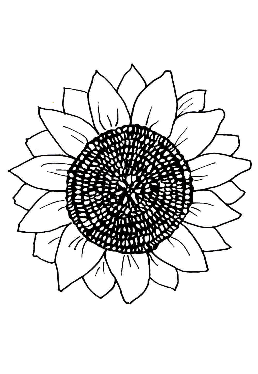 Desenho de flor para pintar e colorir - GIrassol