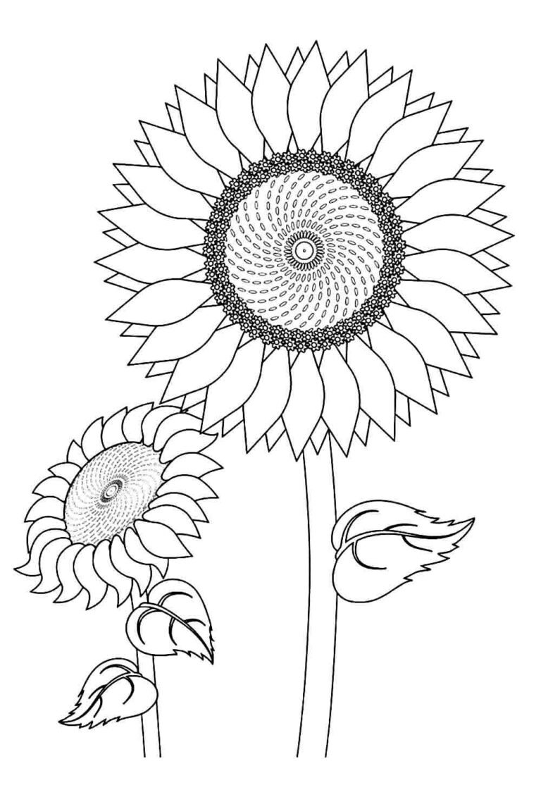 Desenhos de Girassol para Colorir e Pintar - Tudo Para Colorir