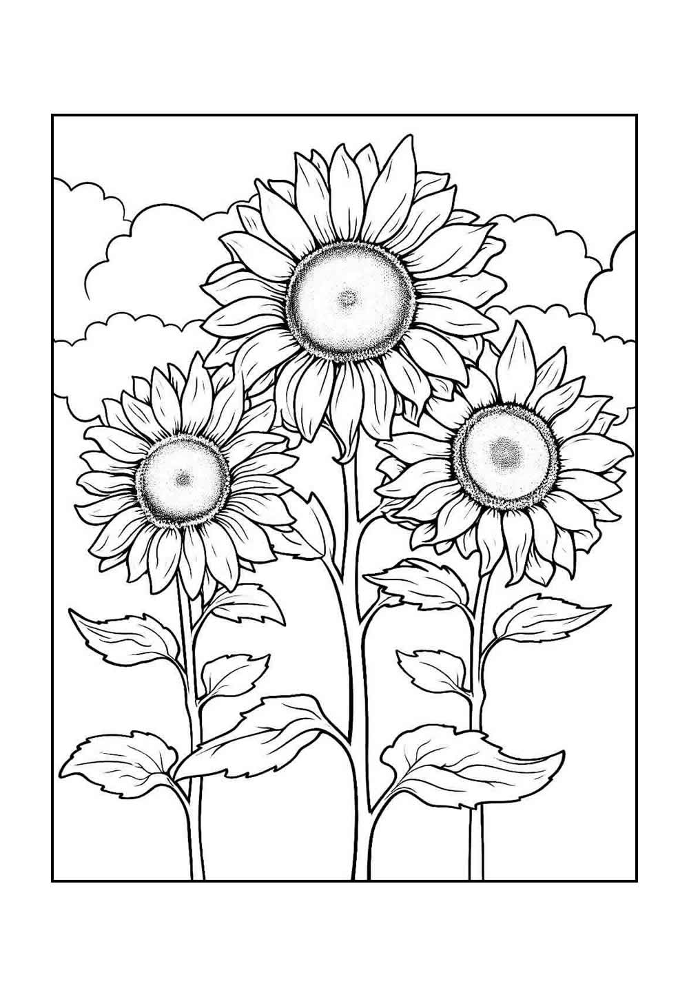 Desenho de Girassol