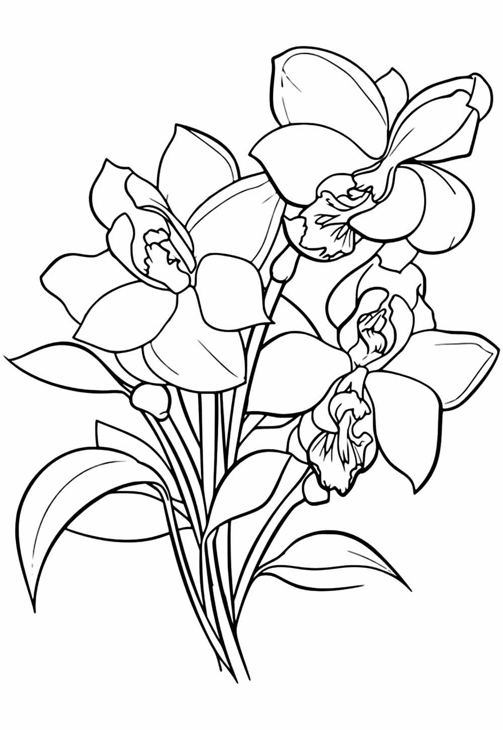 Desenhos de Orquídea para pintar