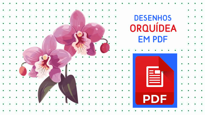 Desenhos de Orquídea em PDF