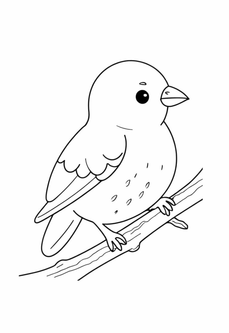 Desenhos de Passarinho para Colorir e Pintar - Tudo Para Colorir